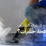 كيف تساعدك شركة التنظيف في مكافحة حشرات؟